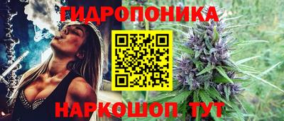 мдпв Нальчик