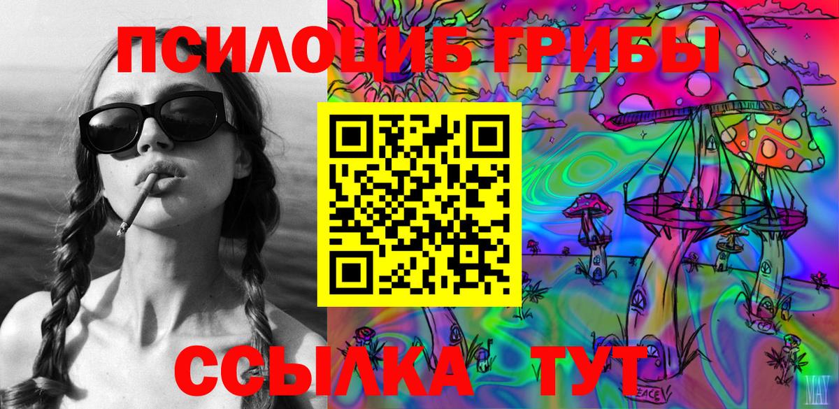 Псилоцибиновые грибы Psilocybe Вичуга