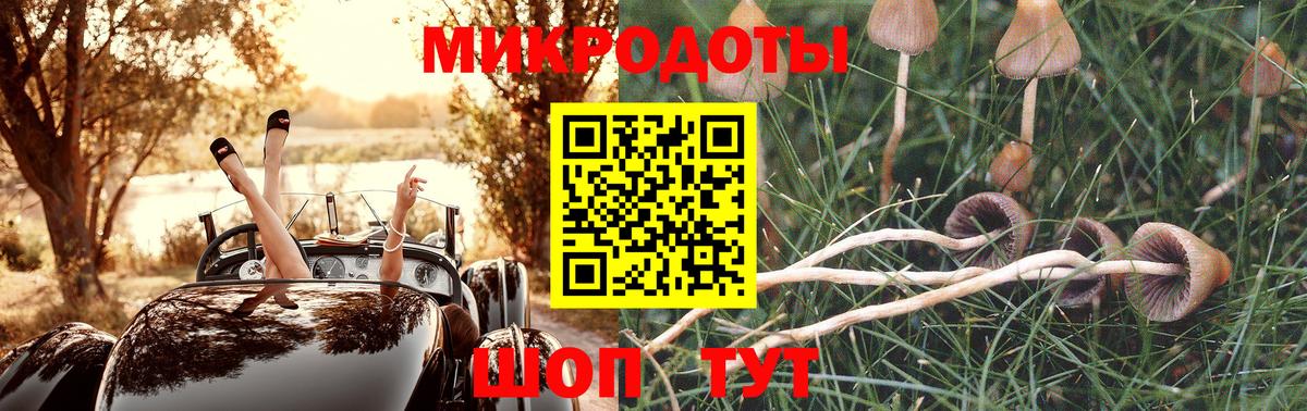Псилоцибиновые грибы Psilocybine cubensis  Галлюциногенные грибы Cubensis  Вход с VPN  Вичуга 